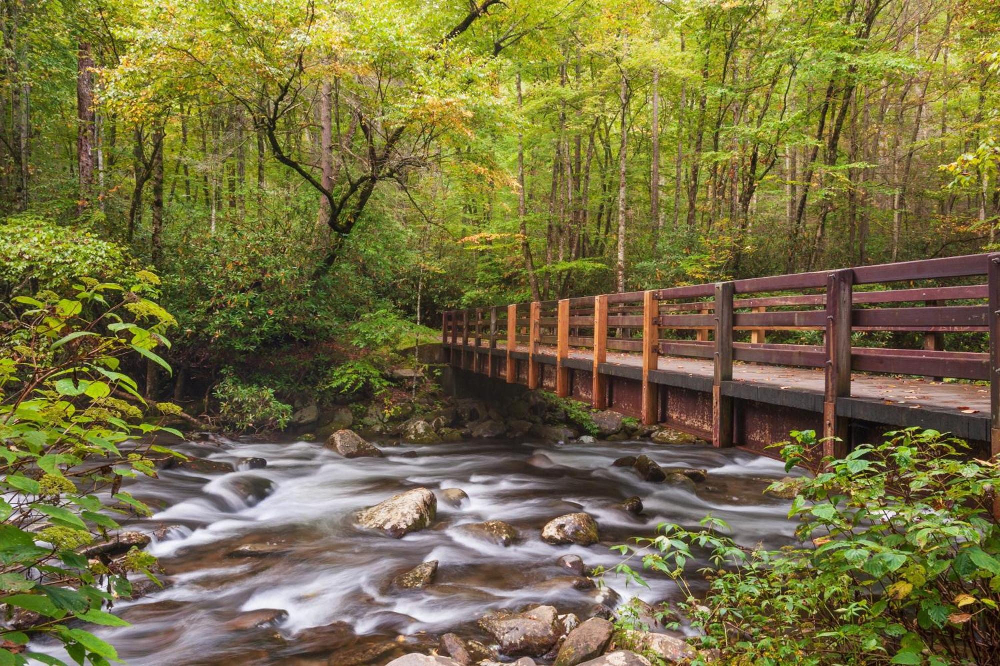 סביירוויל Laurel Cottage, 1089 Free Tickets Each Paid Day, Dollywood And More מראה חיצוני תמונה